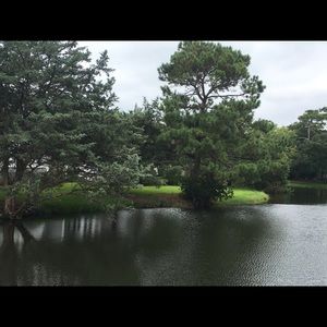 Meet your Posher, Cynthia